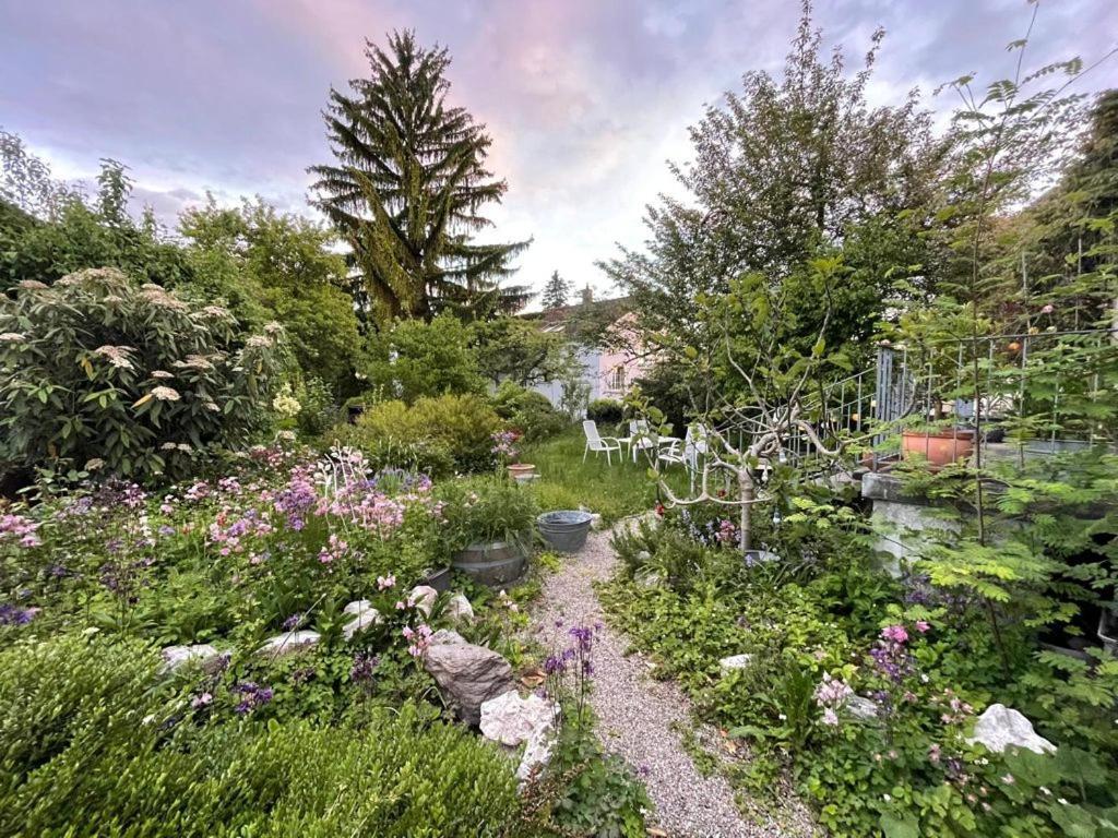 Au Jardin Bed & Breakfast Zuchwil ภายนอก รูปภาพ