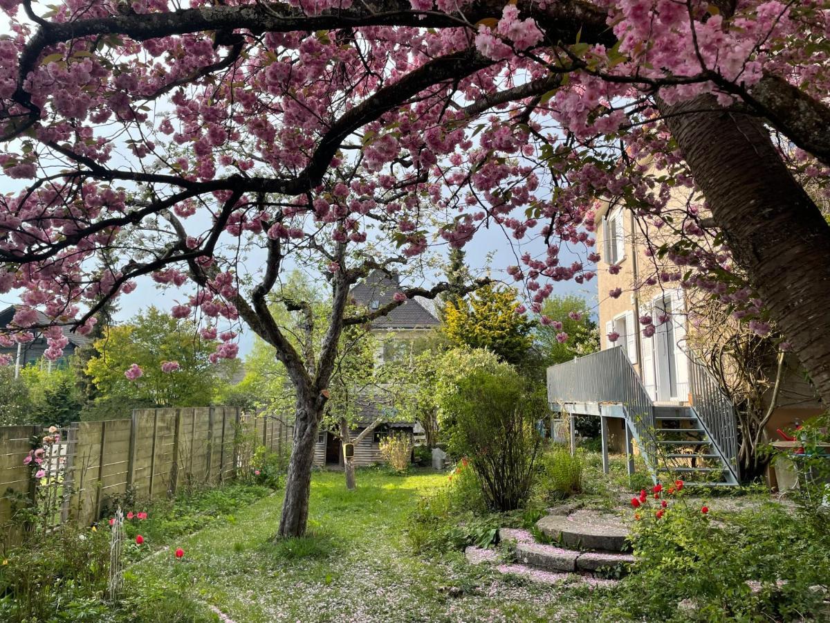 Au Jardin Bed & Breakfast Zuchwil ภายนอก รูปภาพ