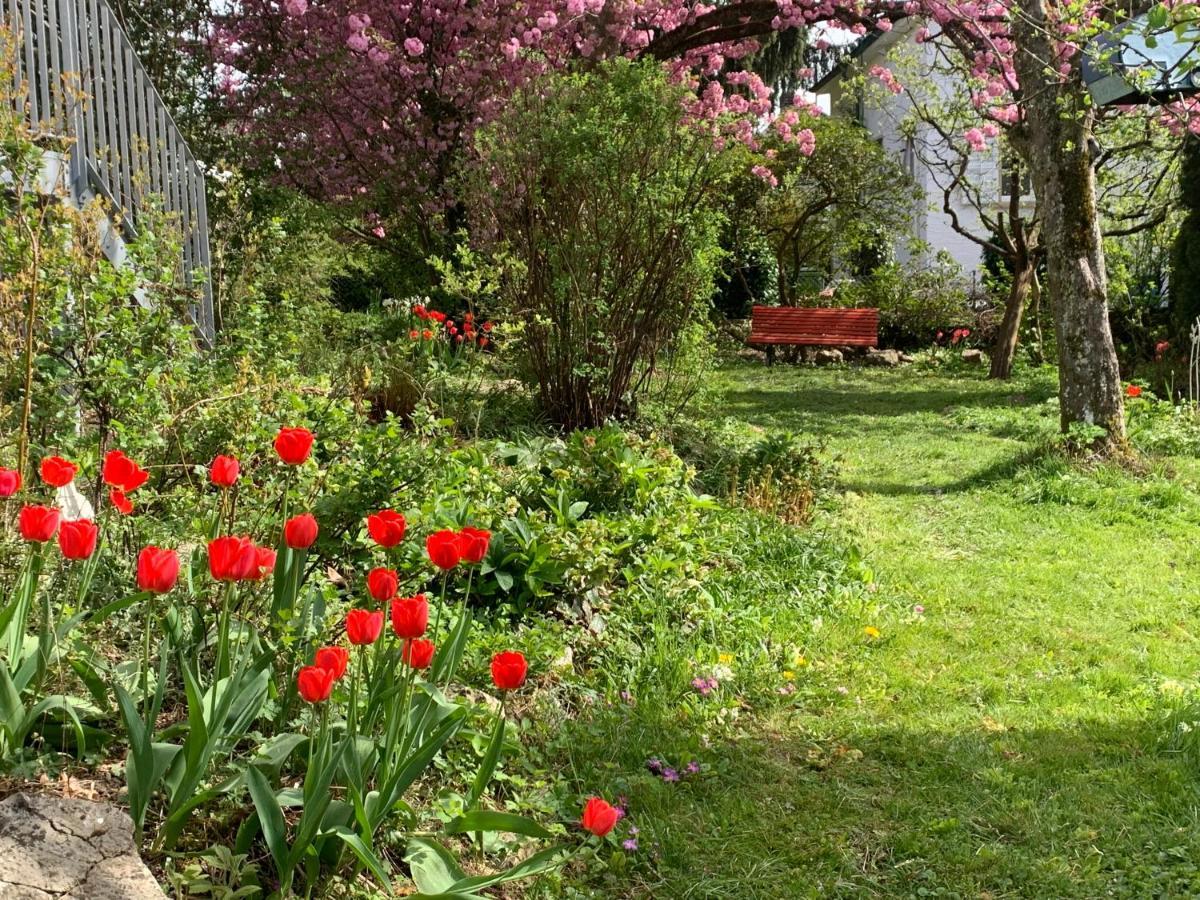 Au Jardin Bed & Breakfast Zuchwil ภายนอก รูปภาพ