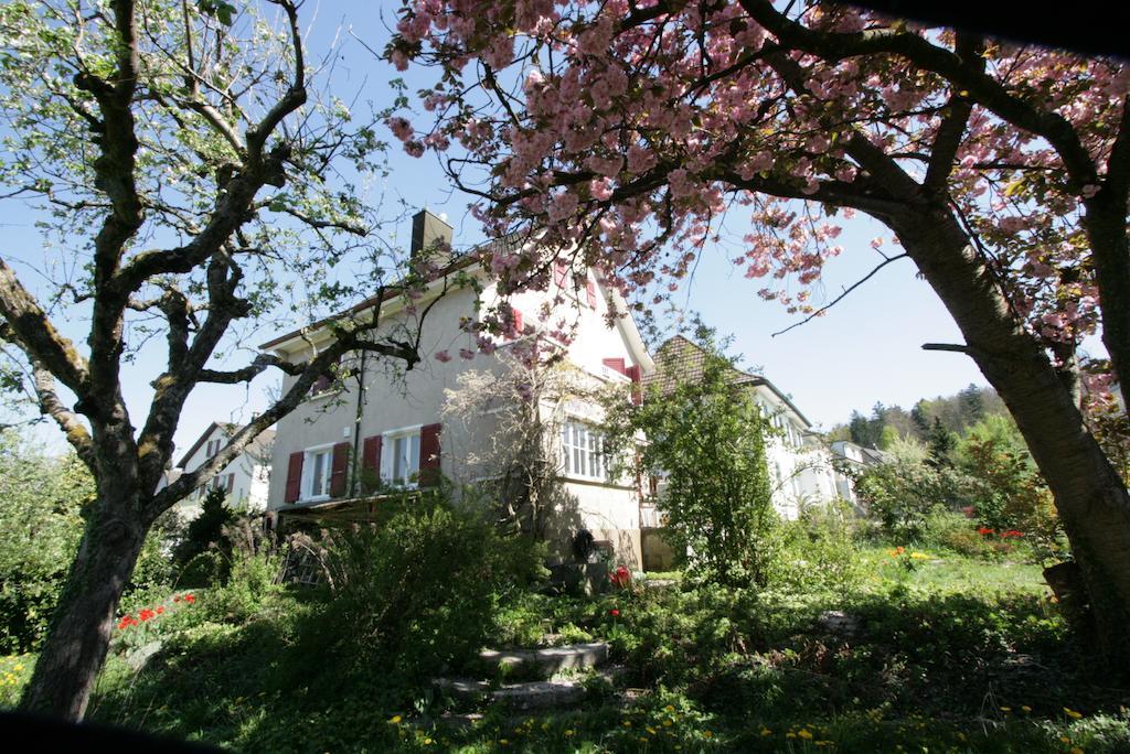 Au Jardin Bed & Breakfast Zuchwil ภายนอก รูปภาพ